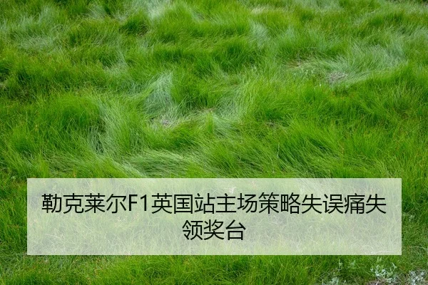 lei-ke-lai-er-ying-guo-zhan-zhu-chang-ce-lve-shi-wu-tong-shi-ling-jiang-tai-2-432.jpg
