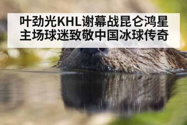 叶劲光KHL谢幕战昆仑鸿星主场球迷致敬中国冰球传奇