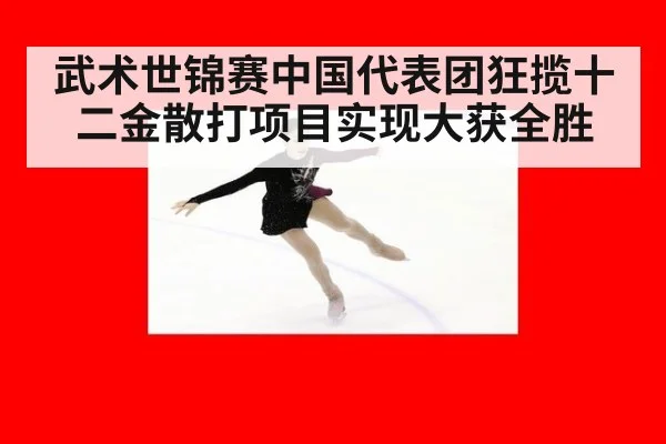 武术世锦赛中国代表团狂揽十二金散打项目实现大获全胜